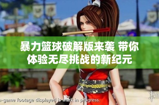 暴力篮球破解版来袭 带你体验无尽挑战的新纪元