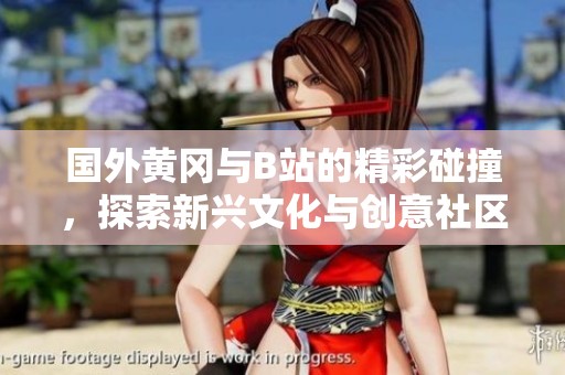 国外黄冈与B站的精彩碰撞，探索新兴文化与创意社区