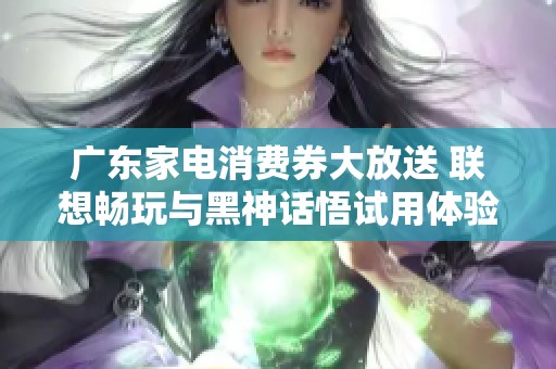 广东家电消费券大放送 联想畅玩与黑神话悟试用体验分享