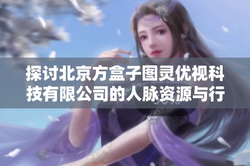 探讨北京方盒子图灵优视科技有限公司的人脉资源与行业影响力