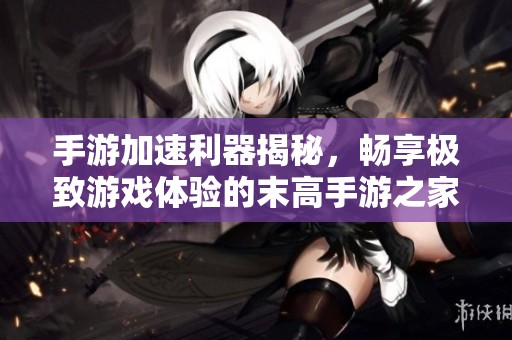 手游加速利器揭秘，畅享极致游戏体验的末高手游之家