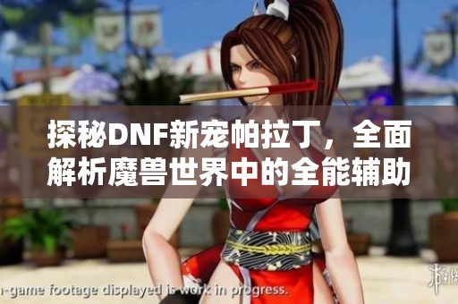 探秘DNF新宠帕拉丁，全面解析魔兽世界中的全能辅助角色