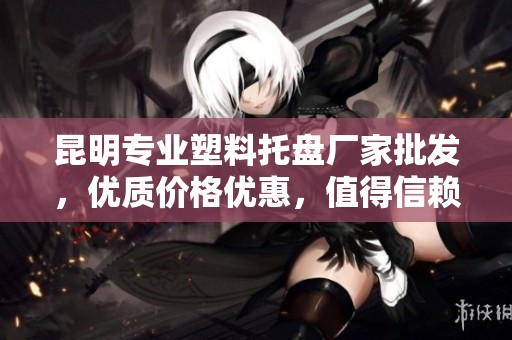 昆明专业塑料托盘厂家批发，优质价格优惠，值得信赖的选择