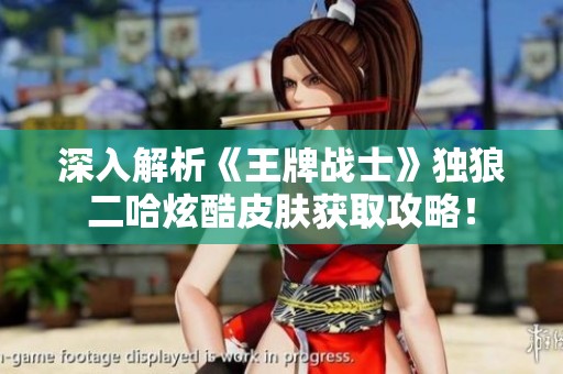 深入解析《王牌战士》独狼二哈炫酷皮肤获取攻略！