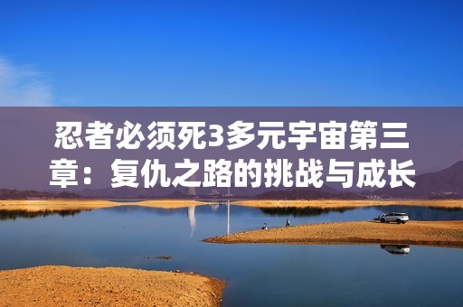 忍者必须死3多元宇宙第三章：复仇之路的挑战与成长