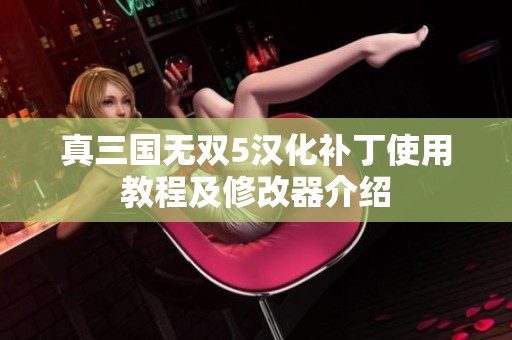 真三国无双5汉化补丁使用教程及修改器介绍