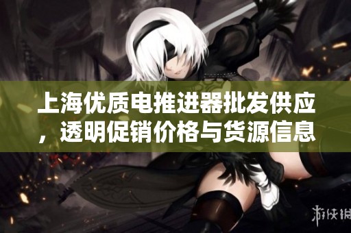 上海优质电推进器批发供应，透明促销价格与货源信息