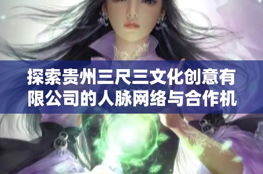 探索贵州三尺三文化创意有限公司的人脉网络与合作机会分析
