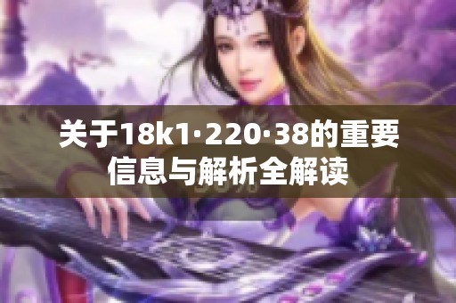 关于18k1·220·38的重要信息与解析全解读