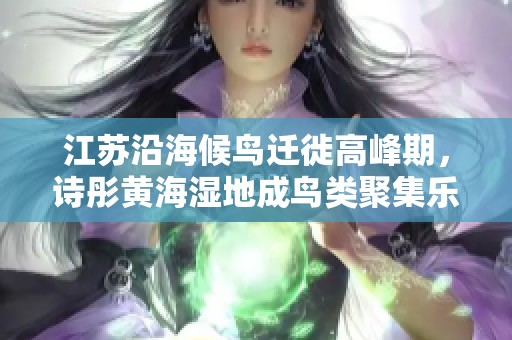 江苏沿海候鸟迁徙高峰期，诗彤黄海湿地成鸟类聚集乐园
