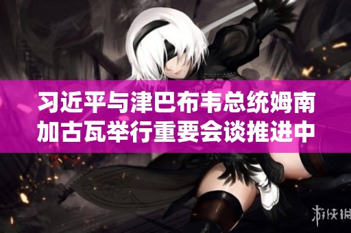 习近平与津巴布韦总统姆南加古瓦举行重要会谈推进中非合作