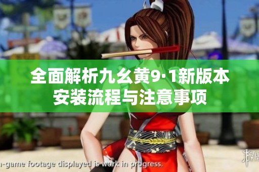 全面解析九幺黄9·1新版本安装流程与注意事项