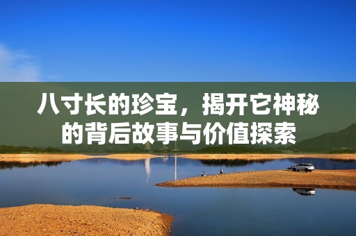 八寸长的珍宝，揭开它神秘的背后故事与价值探索