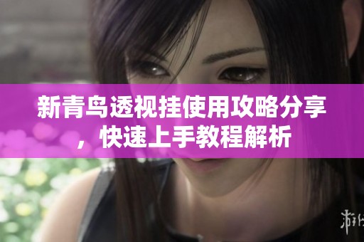 新青鸟透视挂使用攻略分享，快速上手教程解析