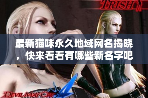 最新猫咪永久地域网名揭晓，快来看看有哪些新名字吧！