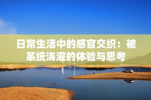 日常生活中的感官交织：被系统浇灌的体验与思考