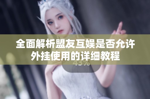 全面解析盟友互娱是否允许外挂使用的详细教程