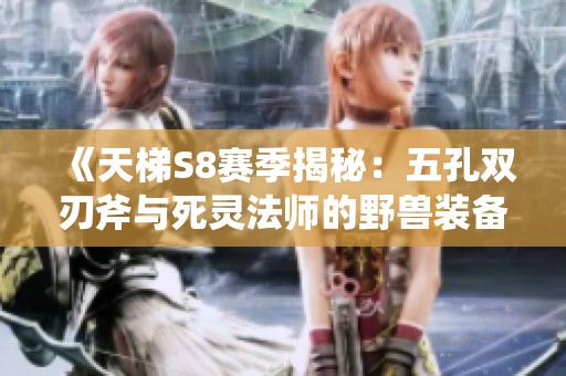 《天梯S8赛季揭秘：五孔双刃斧与死灵法师的野兽装备搭配》