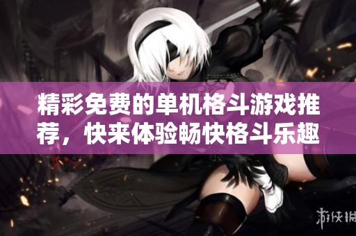 精彩免费的单机格斗游戏推荐，快来体验畅快格斗乐趣