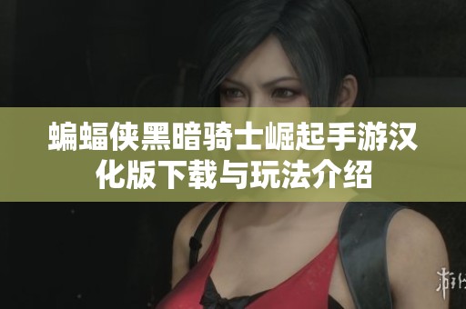 蝙蝠侠黑暗骑士崛起手游汉化版下载与玩法介绍