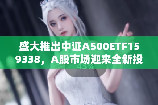 盛大推出中证A500ETF159338，A股市场迎来全新投资机会