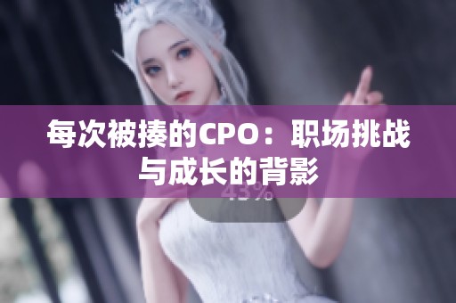 每次被揍的CPO：职场挑战与成长的背影