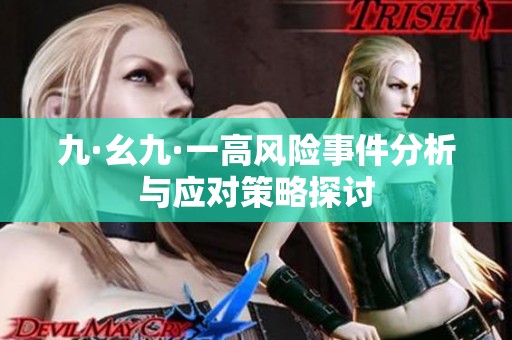 九·幺九·一高风险事件分析与应对策略探讨