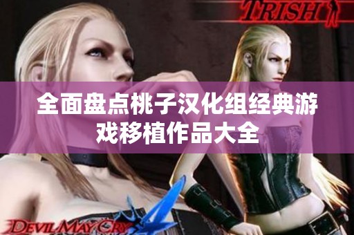 全面盘点桃子汉化组经典游戏移植作品大全