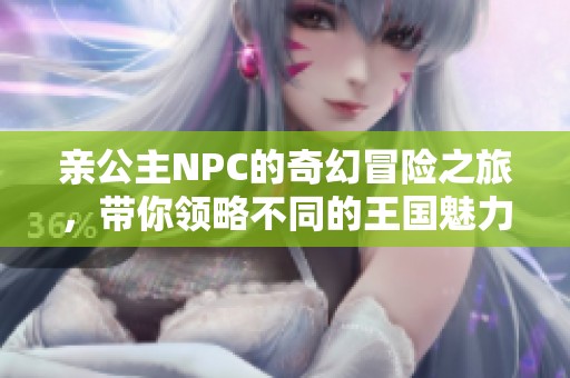 亲公主NPC的奇幻冒险之旅，带你领略不同的王国魅力