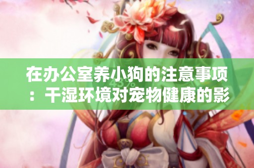 在办公室养小狗的注意事项：干湿环境对宠物健康的影响