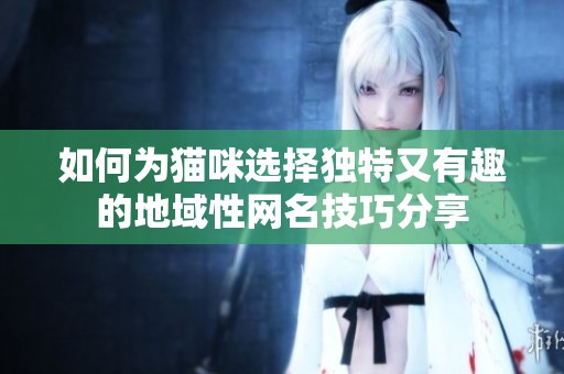 如何为猫咪选择独特又有趣的地域性网名技巧分享