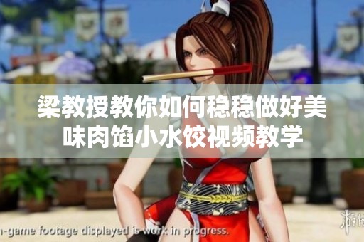 梁教授教你如何稳稳做好美味肉馅小水饺视频教学