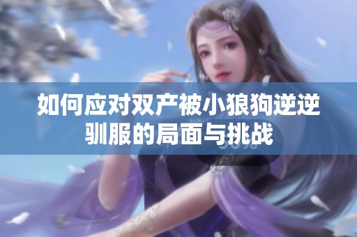 如何应对双产被小狼狗逆逆驯服的局面与挑战