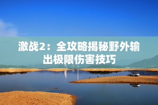 激战2：全攻略揭秘野外输出极限伤害技巧