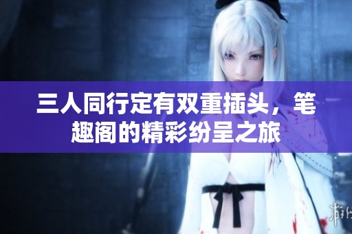三人同行定有双重插头，笔趣阁的精彩纷呈之旅