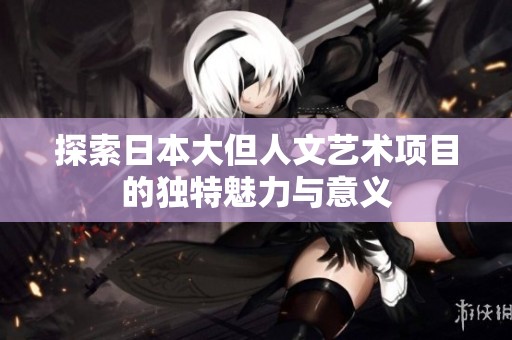 探索日本大但人文艺术项目的独特魅力与意义