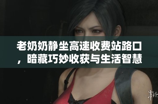 老奶奶静坐高速收费站路口，暗藏巧妙收获与生活智慧