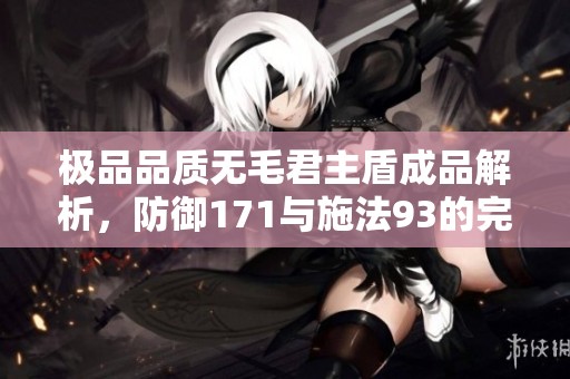 极品品质无毛君主盾成品解析，防御171与施法93的完美结合