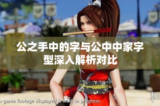 公之手中的字与公中中家字型深入解析对比
