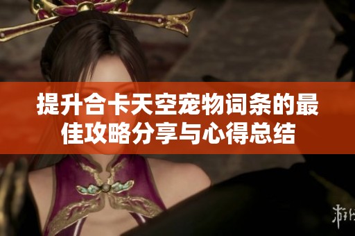 提升合卡天空宠物词条的最佳攻略分享与心得总结
