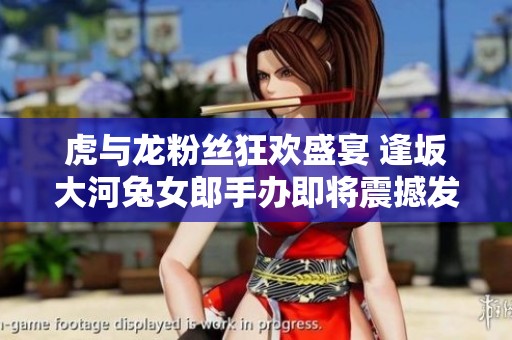 虎与龙粉丝狂欢盛宴 逢坂大河兔女郎手办即将震撼发布