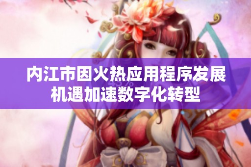 内江市因火热应用程序发展机遇加速数字化转型