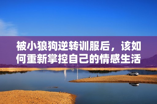 被小狼狗逆转训服后，该如何重新掌控自己的情感生活