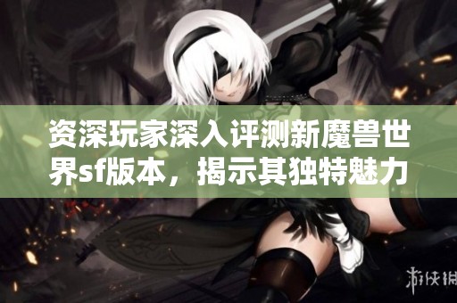 资深玩家深入评测新魔兽世界sf版本，揭示其独特魅力与亮点