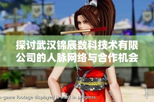 探讨武汉锦辰数科技术有限公司的人脉网络与合作机会解析