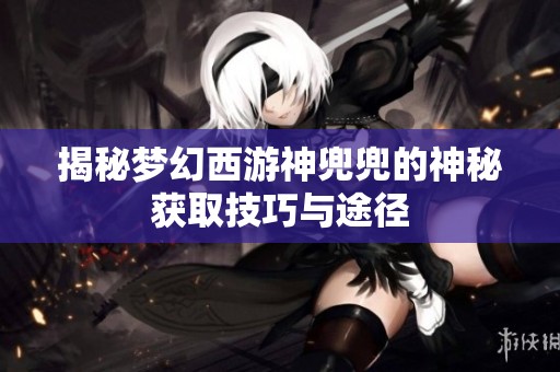 揭秘梦幻西游神兜兜的神秘获取技巧与途径