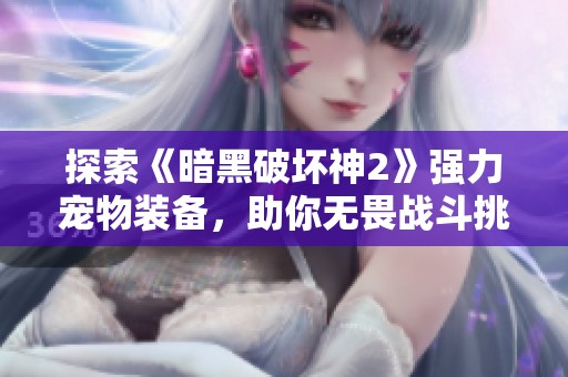 探索《暗黑破坏神2》强力宠物装备，助你无畏战斗挑战