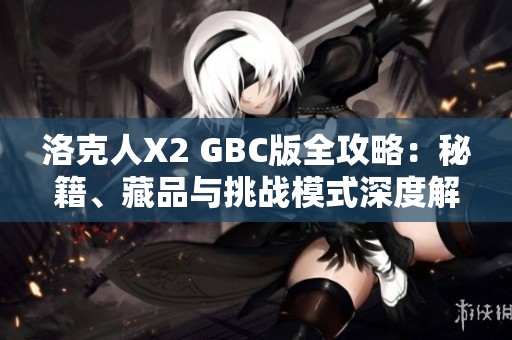 洛克人X2 GBC版全攻略：秘籍、藏品与挑战模式深度解析