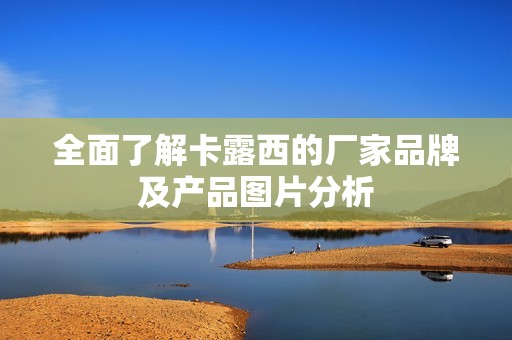 全面了解卡露西的厂家品牌及产品图片分析