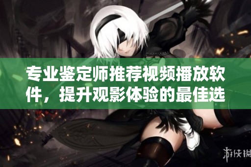 专业鉴定师推荐视频播放软件，提升观影体验的最佳选择